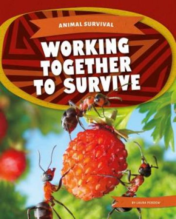 Animal Survival: Working Together To Survive by Laura Perdew