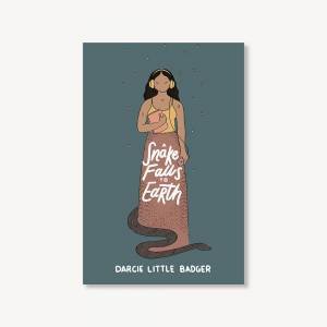 A Snake Falls To Earth by Darcie Little Badger