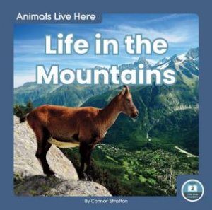 Animals Live Here: Life In The Mountains by Connor Stratton