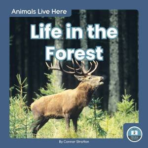 Animals Live Here: Life In The Forest by Connor Stratton