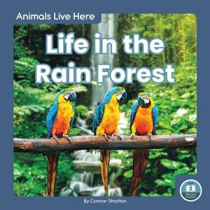 Animals Live Here: Life In The Rain Forest by Connor Stratton