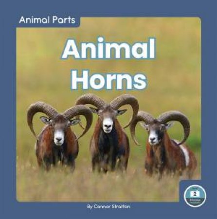 Animal Parts: Animal Horns by CONNOR STRATTON