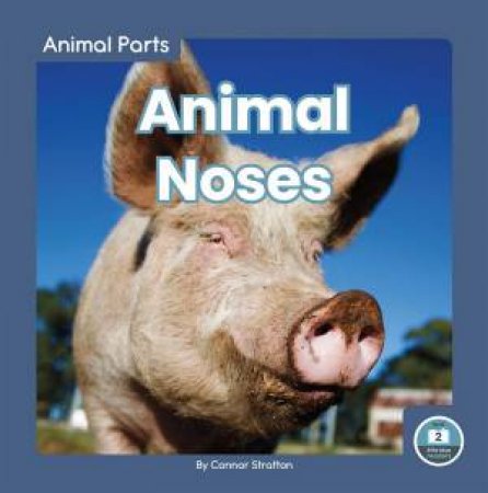 Animal Parts: Animal Noses by CONNOR STRATTON