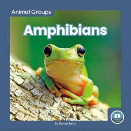 Animal Groups: Amphibians by DALTON RAINS