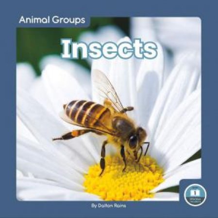 Animal Groups: Insects by DALTON RAINS