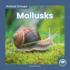 Animal Groups Mollusks