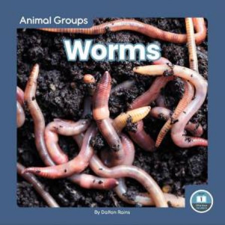 Animal Groups: Worms by DALTON RAINS