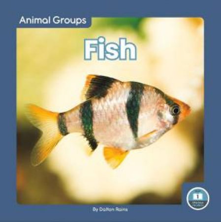 Animal Groups: Fish by DALTON RAINS