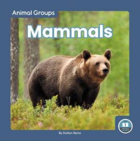 Animal Groups: Mammals by DALTON RAINS