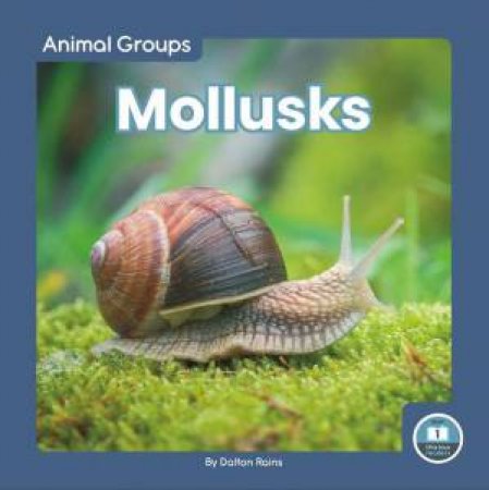 Animal Groups: Mollusks by DALTON RAINS