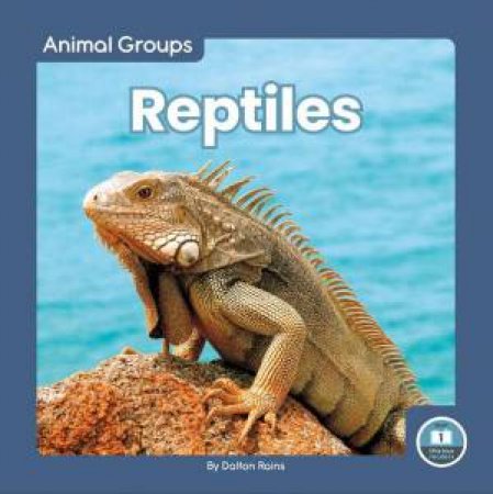 Animal Groups: Reptiles by DALTON RAINS