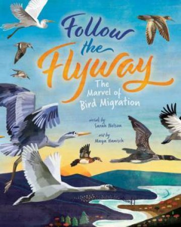 Follow the Flyway: The Marvel of Bird Migration by SARAH NELSON