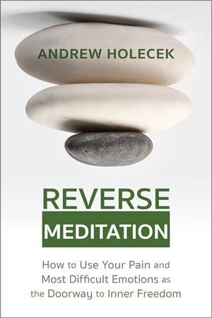 Reverse Meditation by Andrew Holecek