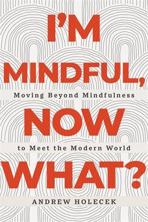 I'm Mindful, Now What? by Andrew Holecek