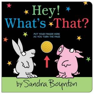 Hey! What's That? by Sandra Boynton & Sandra Boynton