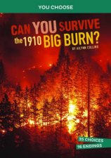 You Choose  Disasters In History Can You Survive the 1910 Big Burn