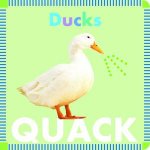 Farm Animals Ducks Quack