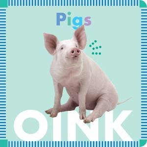 Pigs Oink by Rebecca Glaser