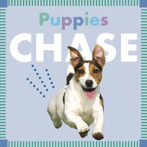 Puppies Chase by Rebecca Stromstad Glaser