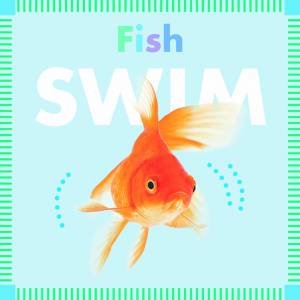 Fish Swim by Rebecca Stromstad Glaser