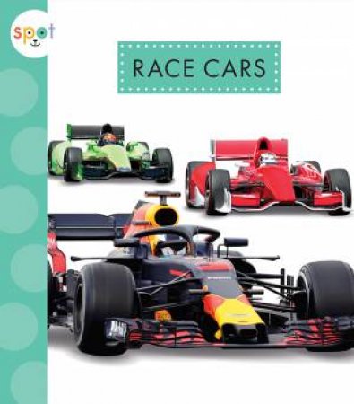 Race Cars by Wendy Strobel Dieker