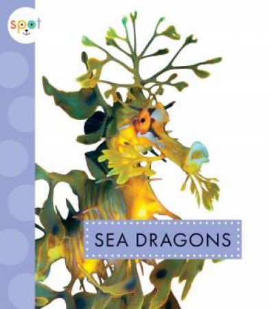 Sea Dragons by Mari Schuh