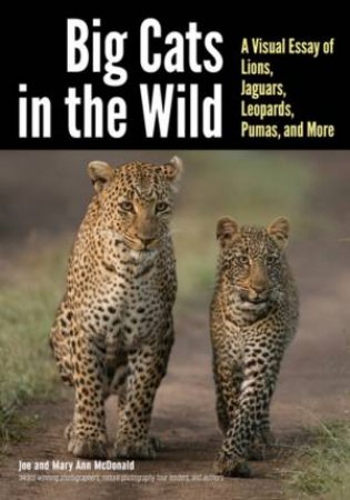 Big Cats In The Wild: A Visual Essay Of Lions, Jaguars, Leopards, Pumas And More by Mary Ann McDonald