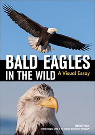 Bald Eagles In The Wild: A Visual Essay by Jeffrey Rich