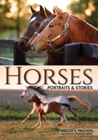 Horses: A Visual Essay by Shelley Paulson