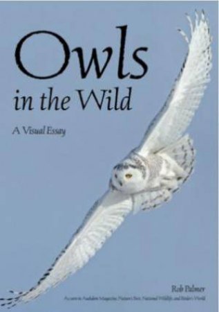 Owls In The Wild: A Visual Tour by Rob Palmer