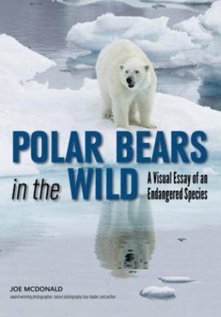 Polar Bears In The Wild: A Visual Tour by Joe McDonald