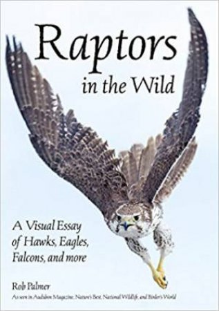 Raptors In The Wild: A Visual Essay by Rob Palmer