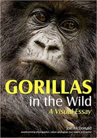 Gorillas In The Wild: A Visual Essay by Joe McDonald