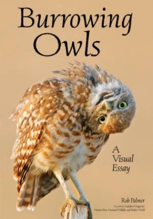 Burrowing Owls: A Visual Essay by Rob Palmer