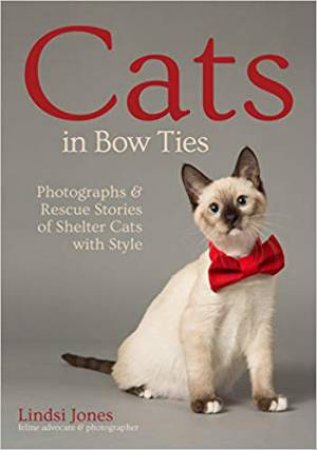 Cats In Bow Ties by Lindsi Jones