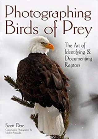 Photographing Birds Of Prey by Scott Joshua Dere