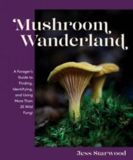 Mushroom Wanderland