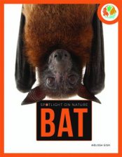 Spotlight On Nature Bat