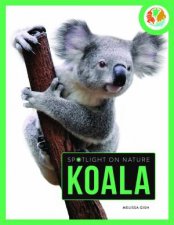 Spotlight On Nature Koala