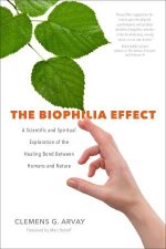 Biophilia Effect