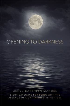 Opening to Darkness by Zenju Earthlyn Manuel