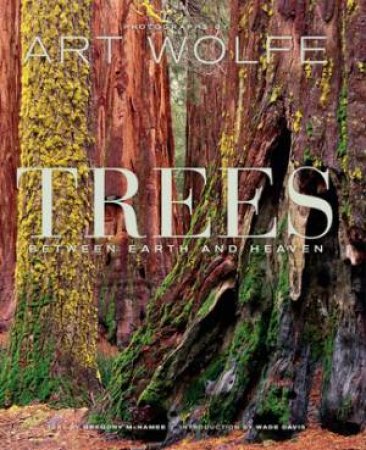 Trees: Between Earth And Heaven by Art Wolfe