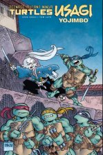 Teenage Mutant Ninja Turtles Usagi Yojimbo