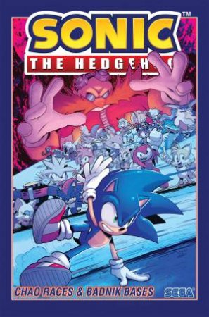 Sonic The Hedgehog, Vol. 9 by Evan Stanley