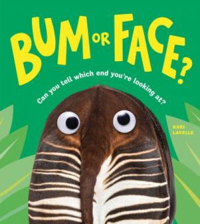 Bum or Face by Kari Lavelle