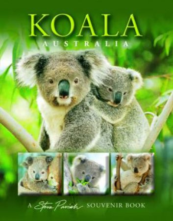 Koala Australia: A Steve Parish Souvenir Book by Steve Parish