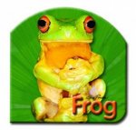 Steve Parish Board Book Frog