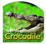 Steve Parish Board Book Crocodille