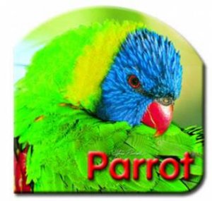 Steve Parish Board Book: Parrot by Steve Parish