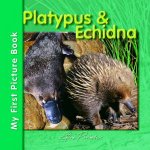My First Picture Book Platypus  Echida